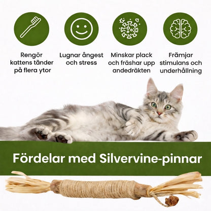 Rena tænder. Mindre stress.