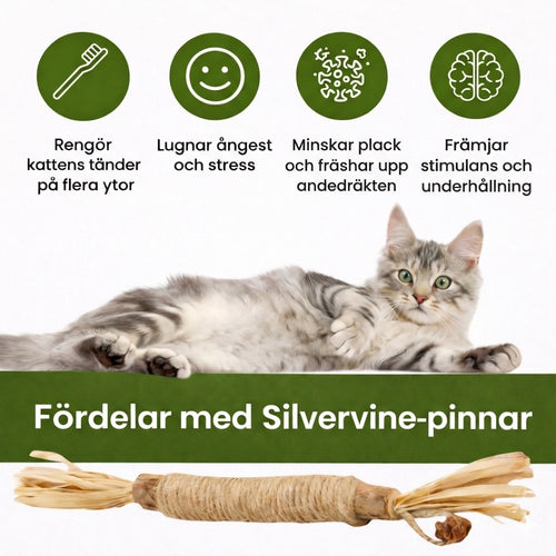 Rena tænder. Mindre stress.